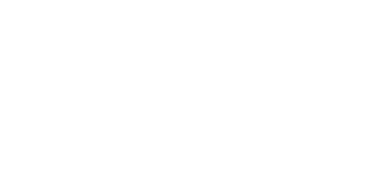 Cityseer white logo.